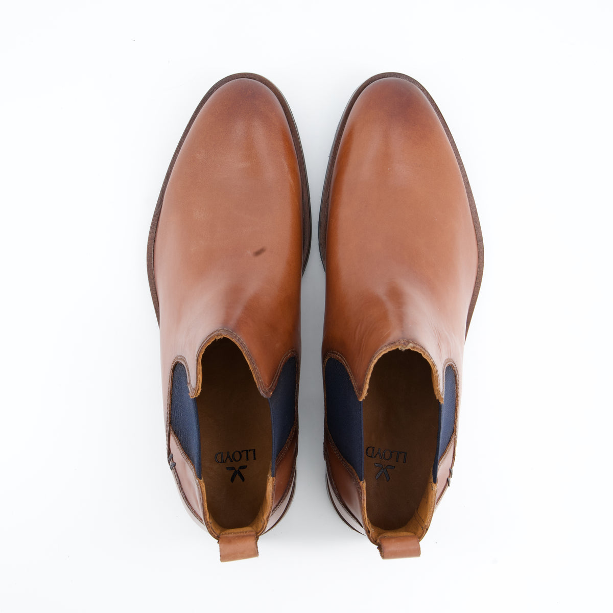 Stiefeletten DRAMON 315