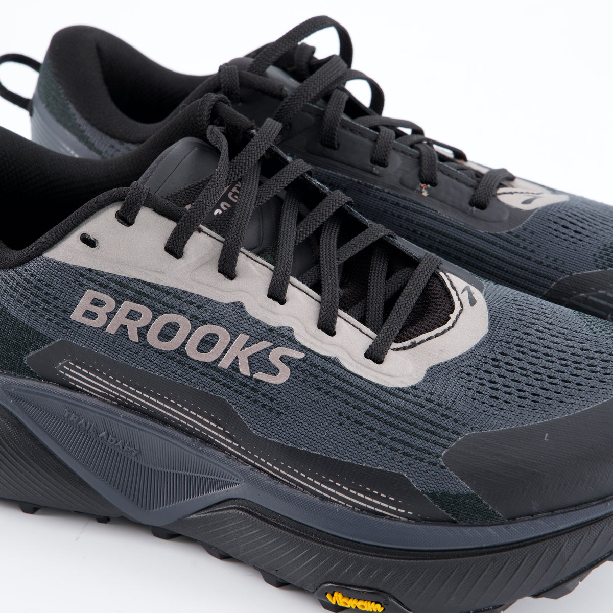 Laufschuhe Cascadia 20 GTX
