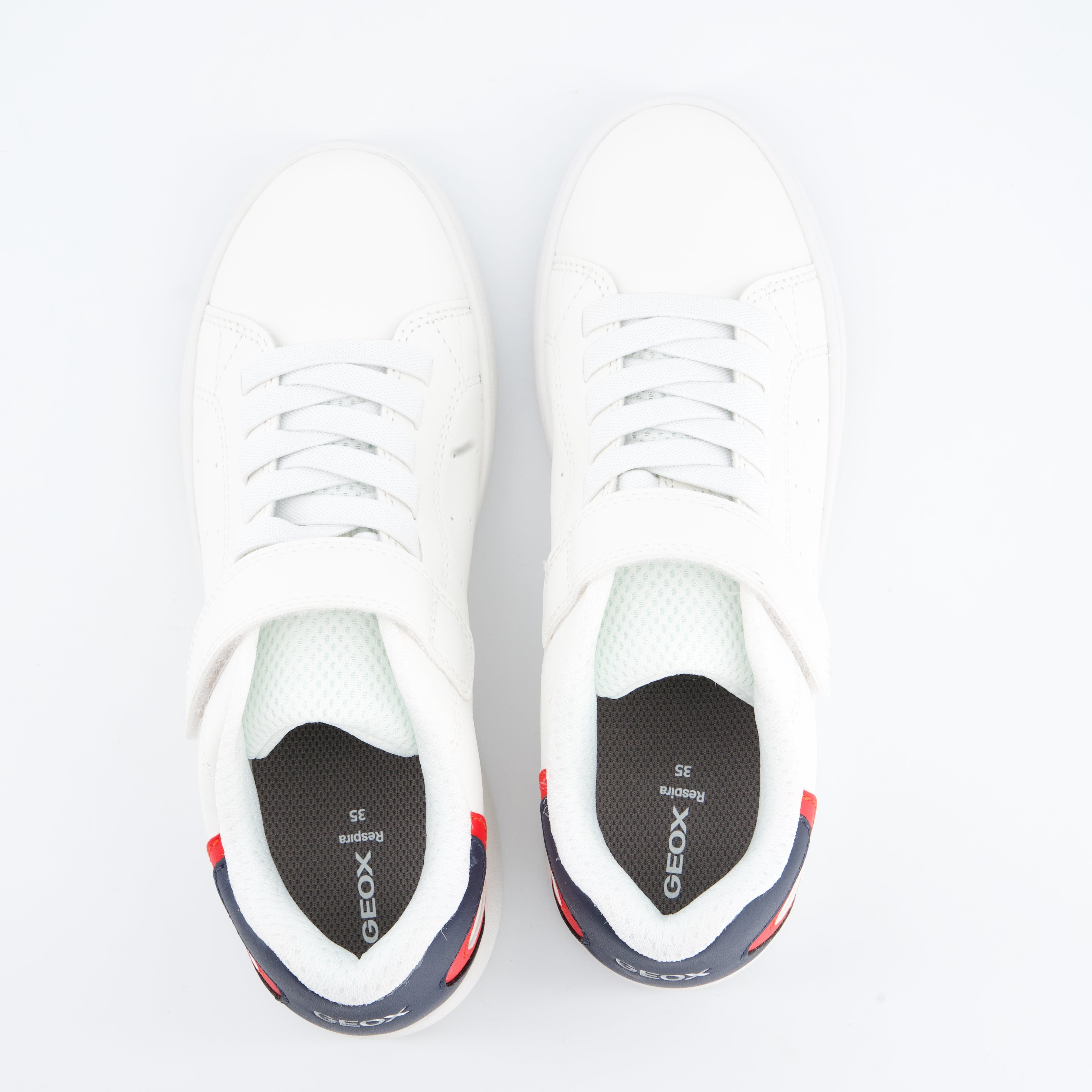 GEOX Burschenschuhe - Halbschuh Halbschuh Eclyper Boy