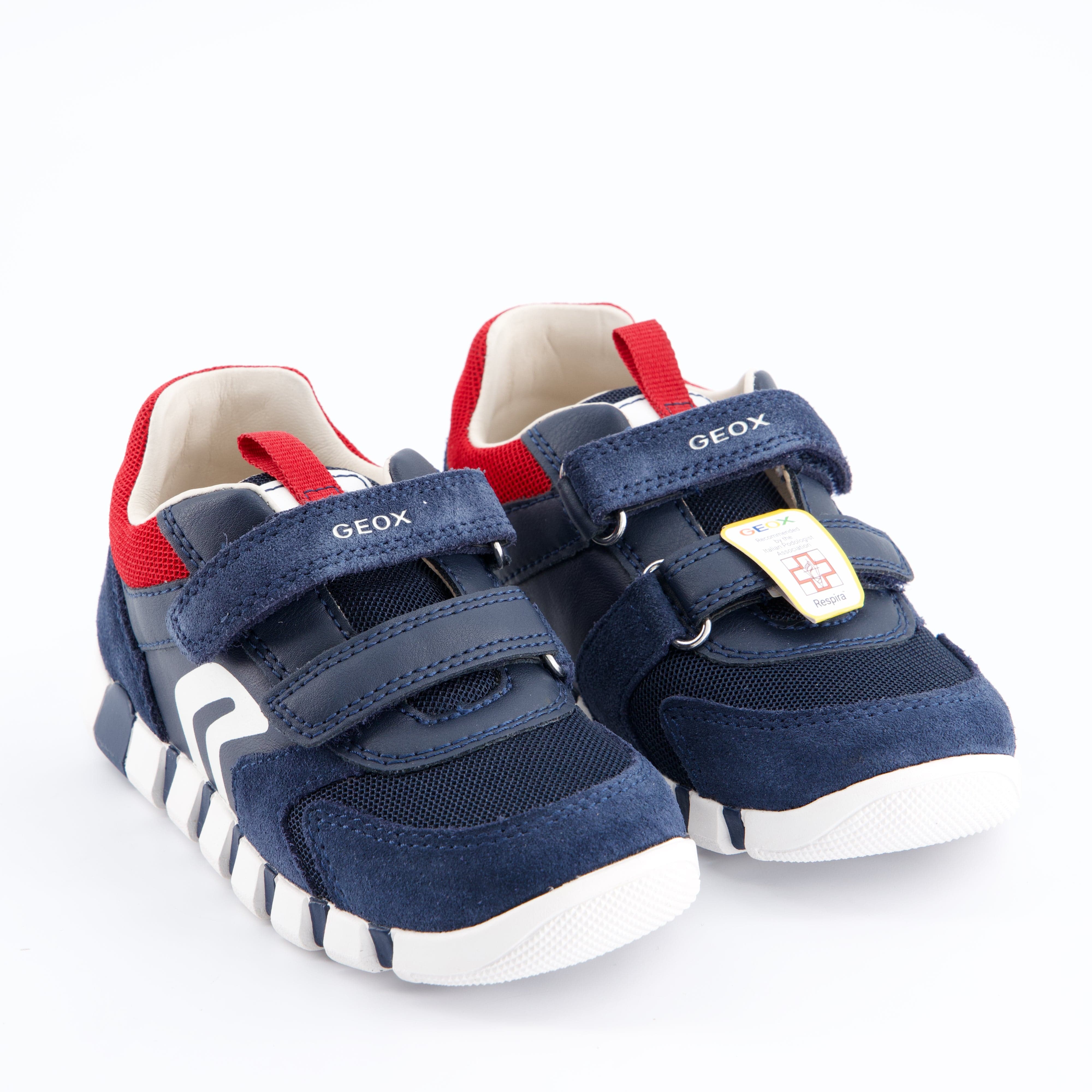 GEOX Burschenschuhe - Halbschuh, Halbschuh Iupidoo