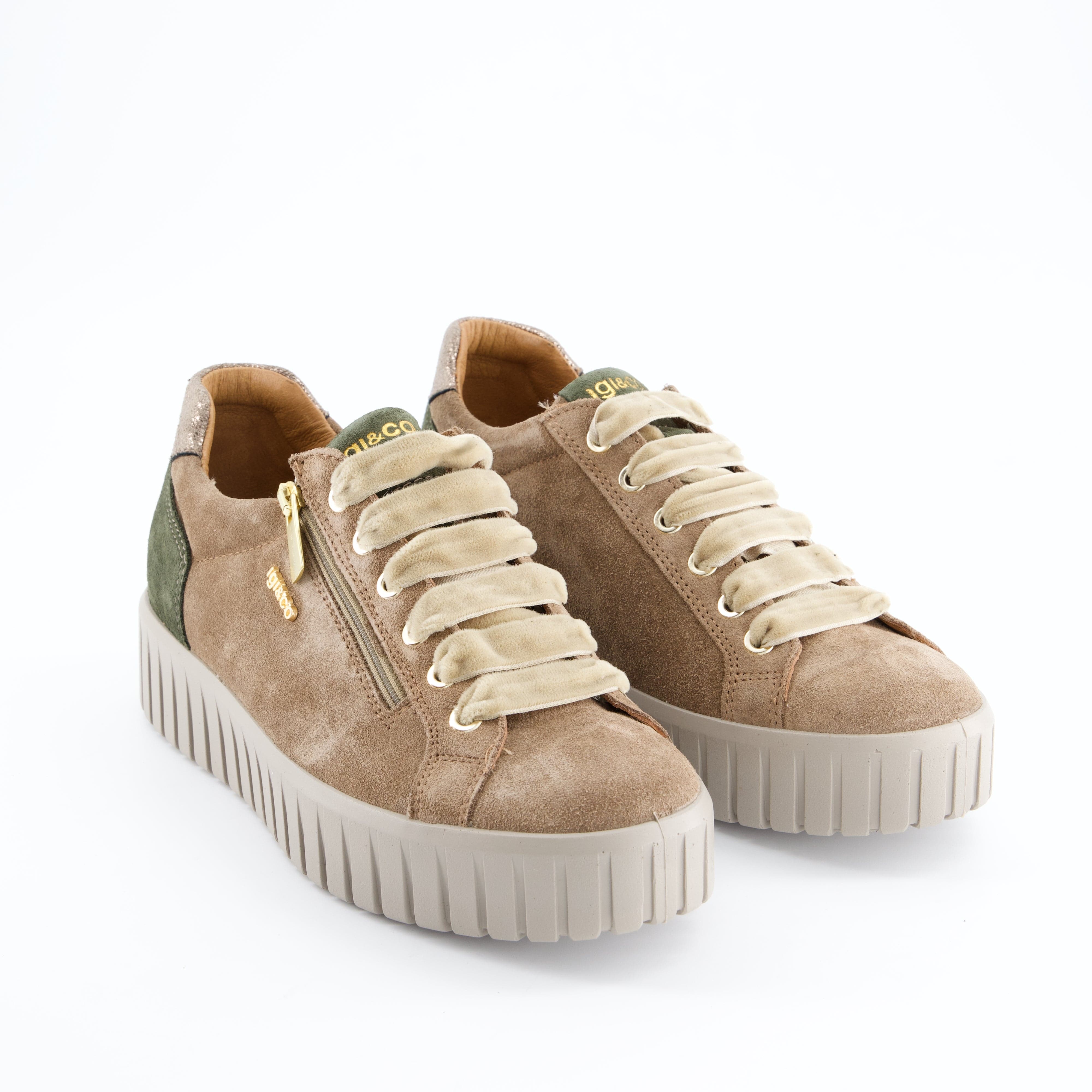 Igi&Co Damenschuhe - Schnürschuhe Schnürschuhe Ares