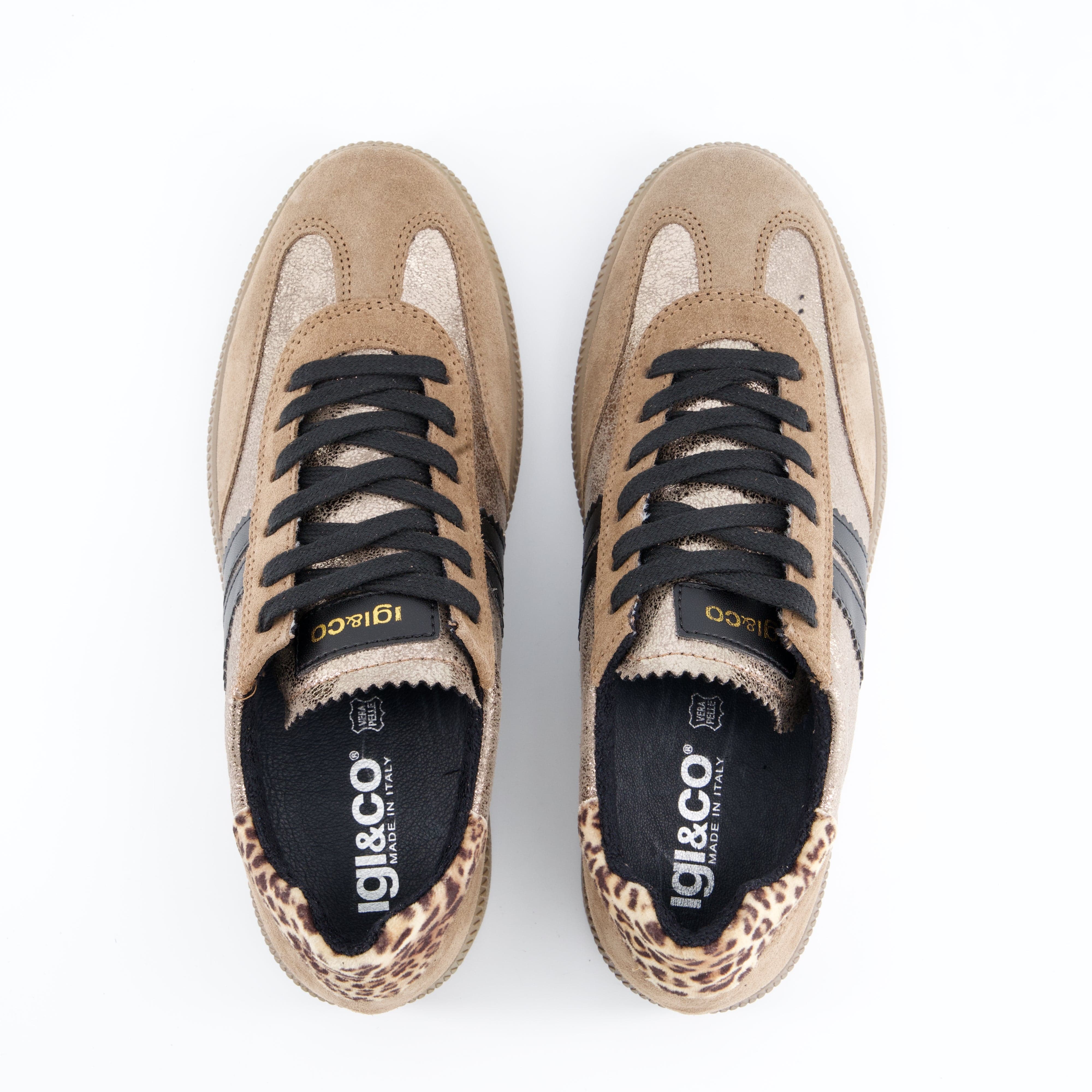 Igi&Co Damenschuhe - Schnürschuhe Schnürschuhe Atala