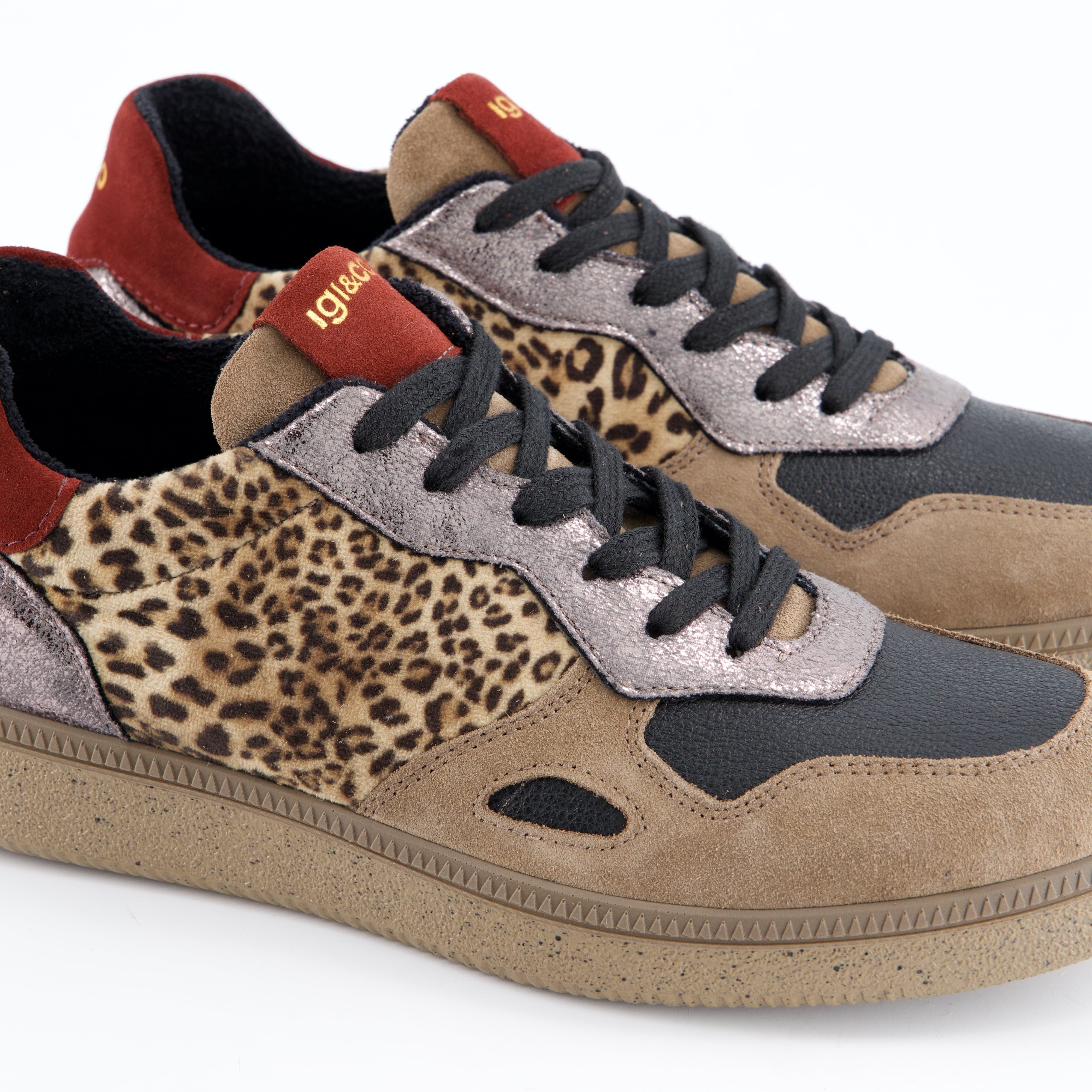 Igi&Co Damenschuhe - Schnürschuhe Schnürschuhe Atala