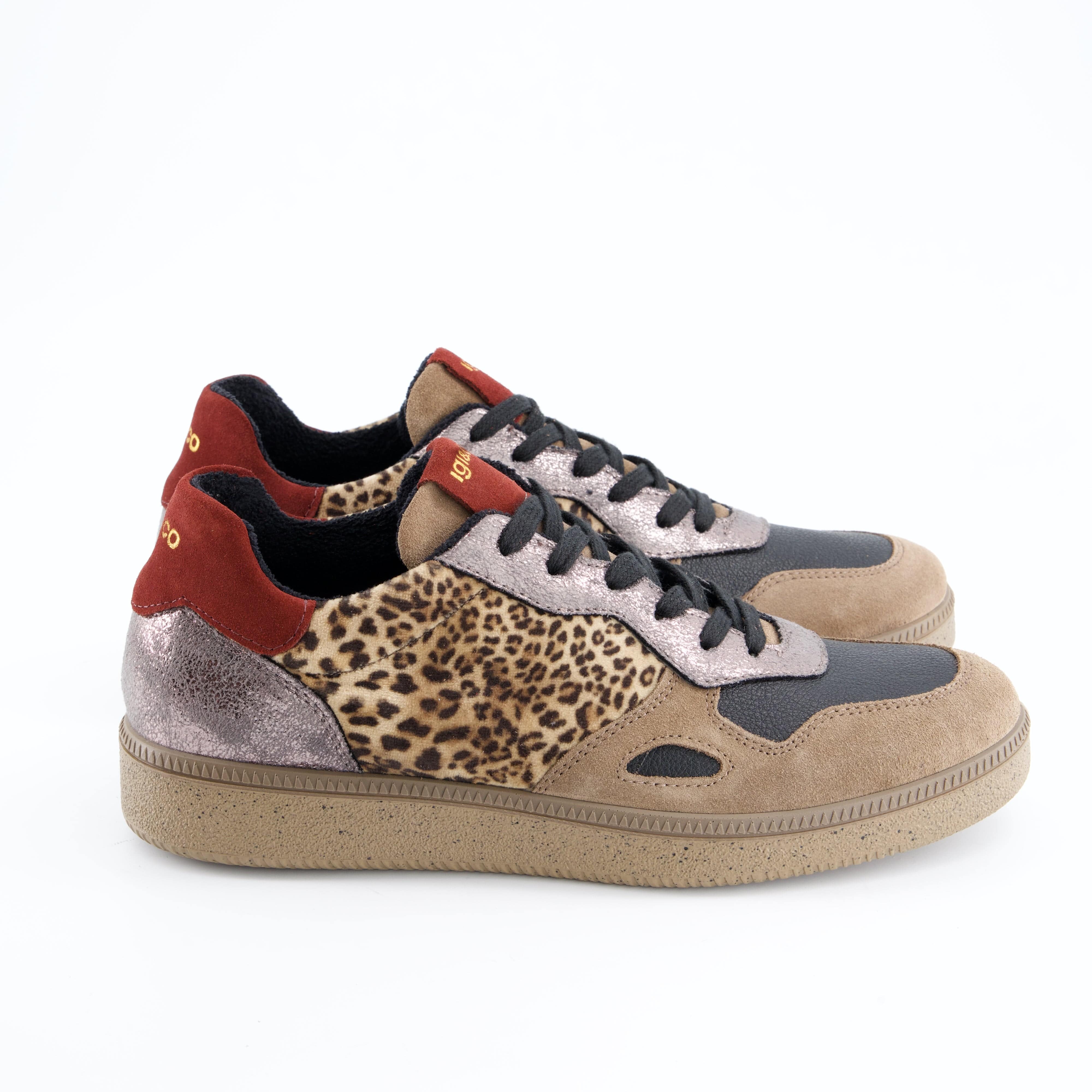 Igi&Co Damenschuhe - Schnürschuhe Schnürschuhe Atala