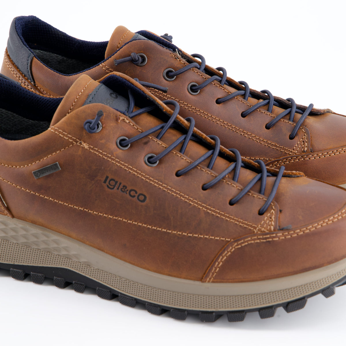 Igi&Co Herrenschuh - Schnürschuh Schnürschuh Eolo GTX