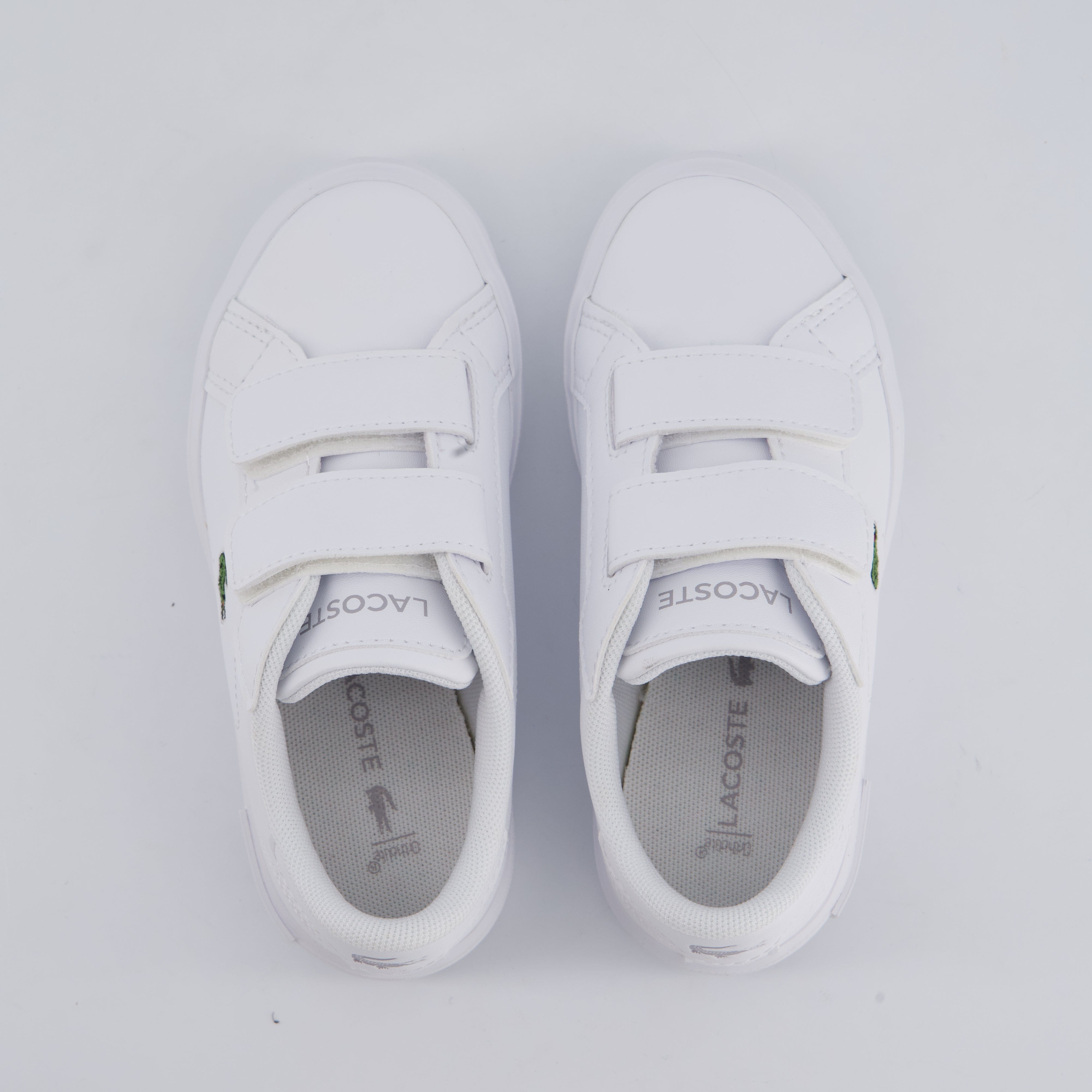 LACOSTE Burschenschuhe - Halbschuh Halbschuh Powercourt