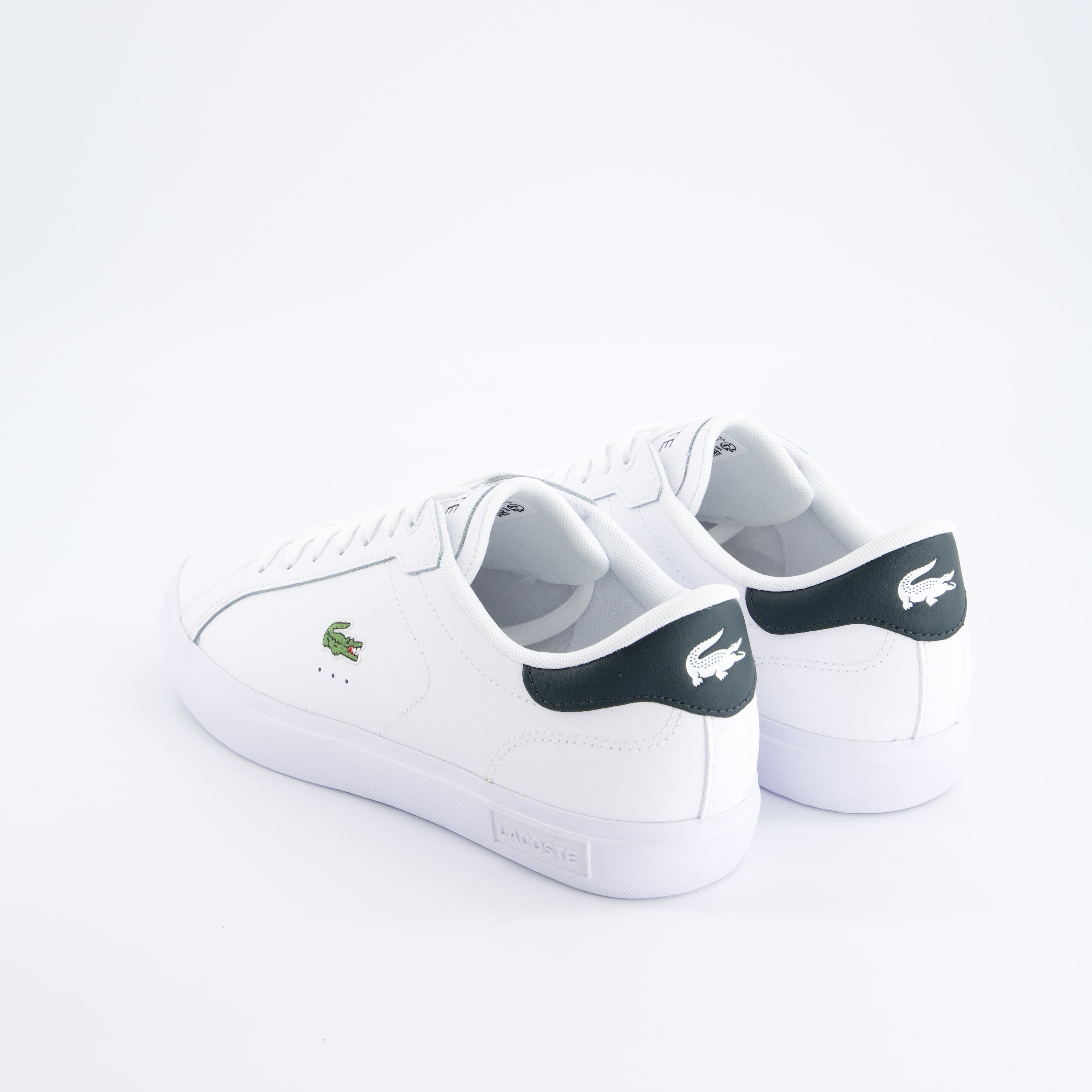 LACOSTE Herrenschuh - Sneaker Sneaker Powercourt