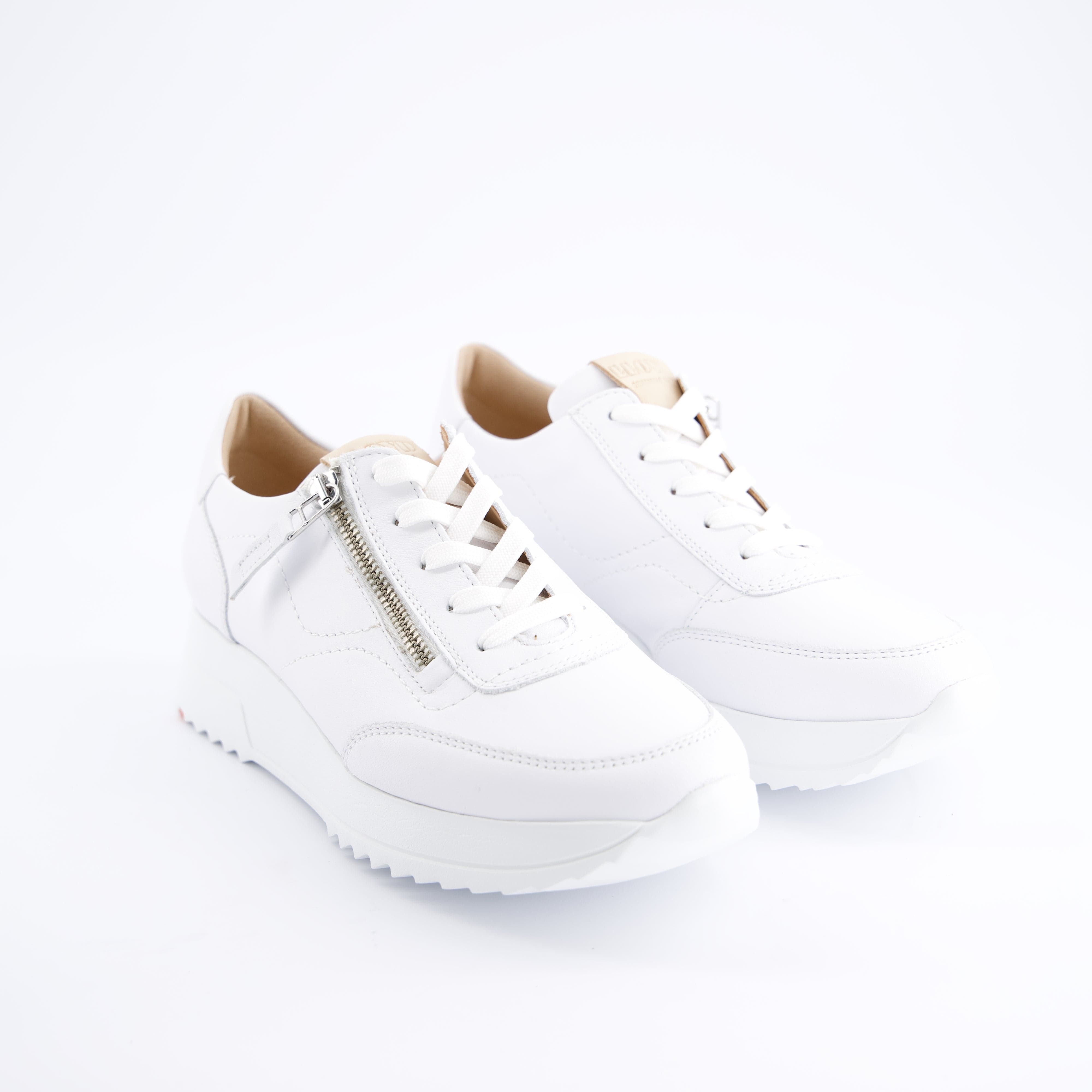 LLOYD Damenschuhe - Schnürschuhe, Schnürschuhe