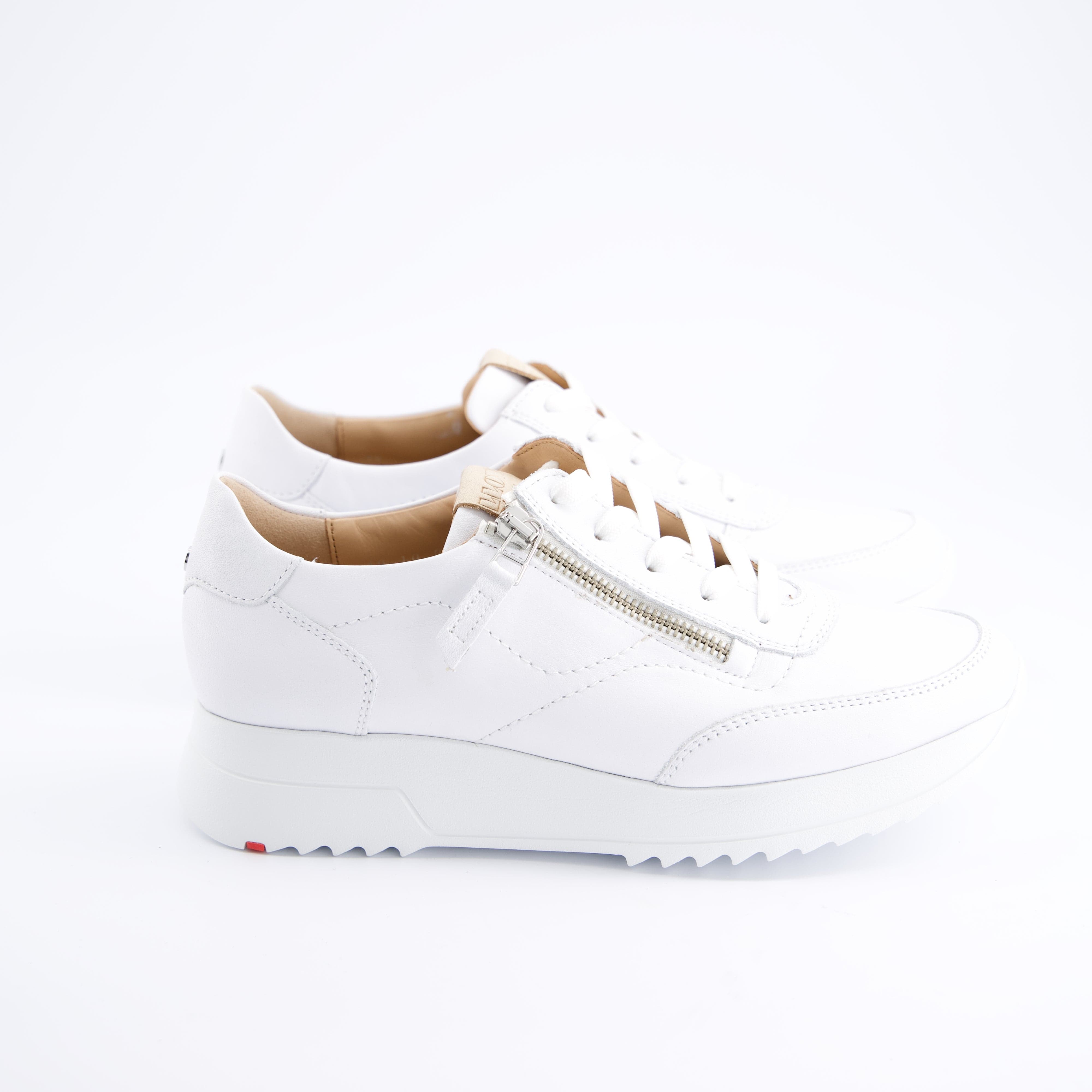 LLOYD Damenschuhe - Schnürschuhe, Schnürschuhe