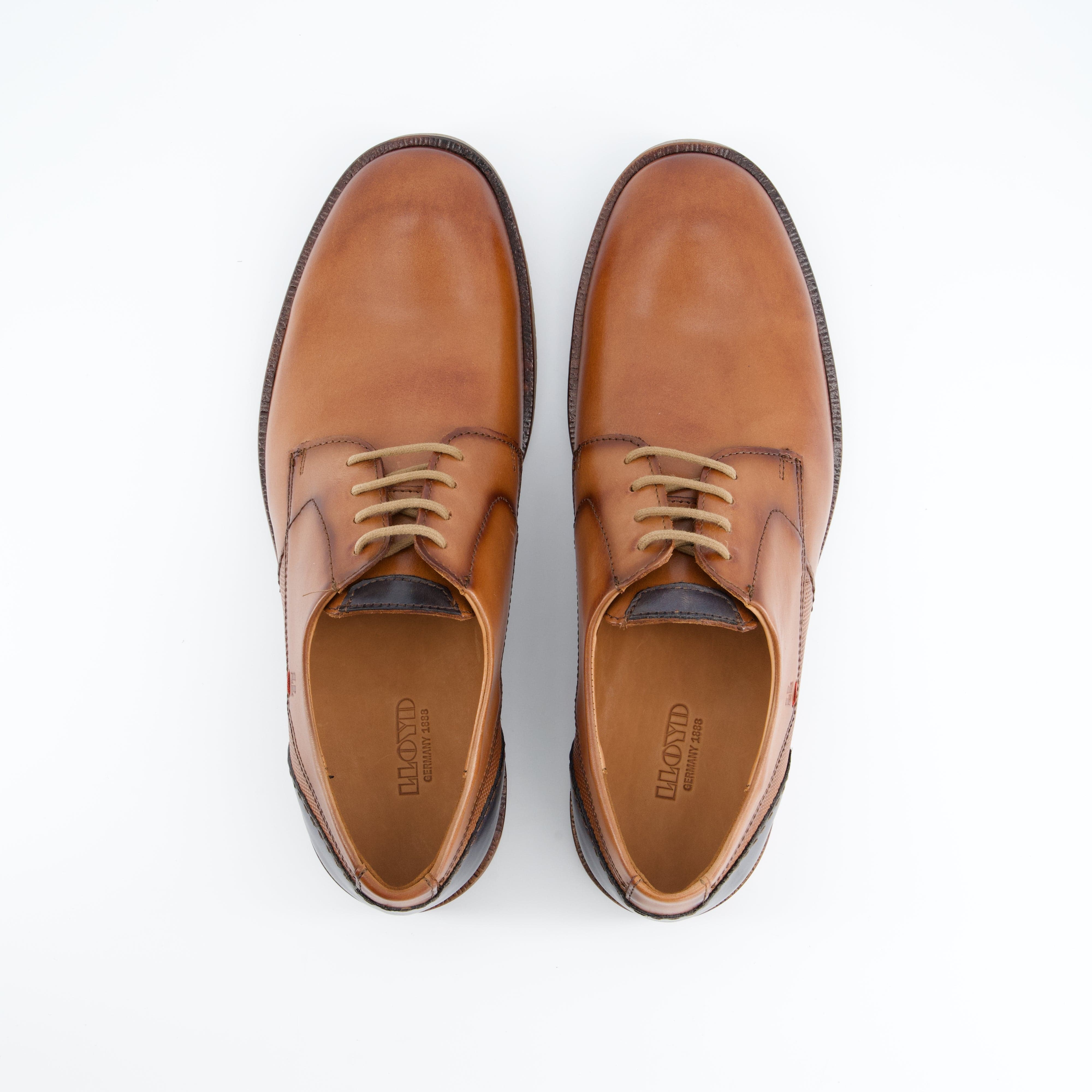 LLOYD H - Business Schuh, B Domino