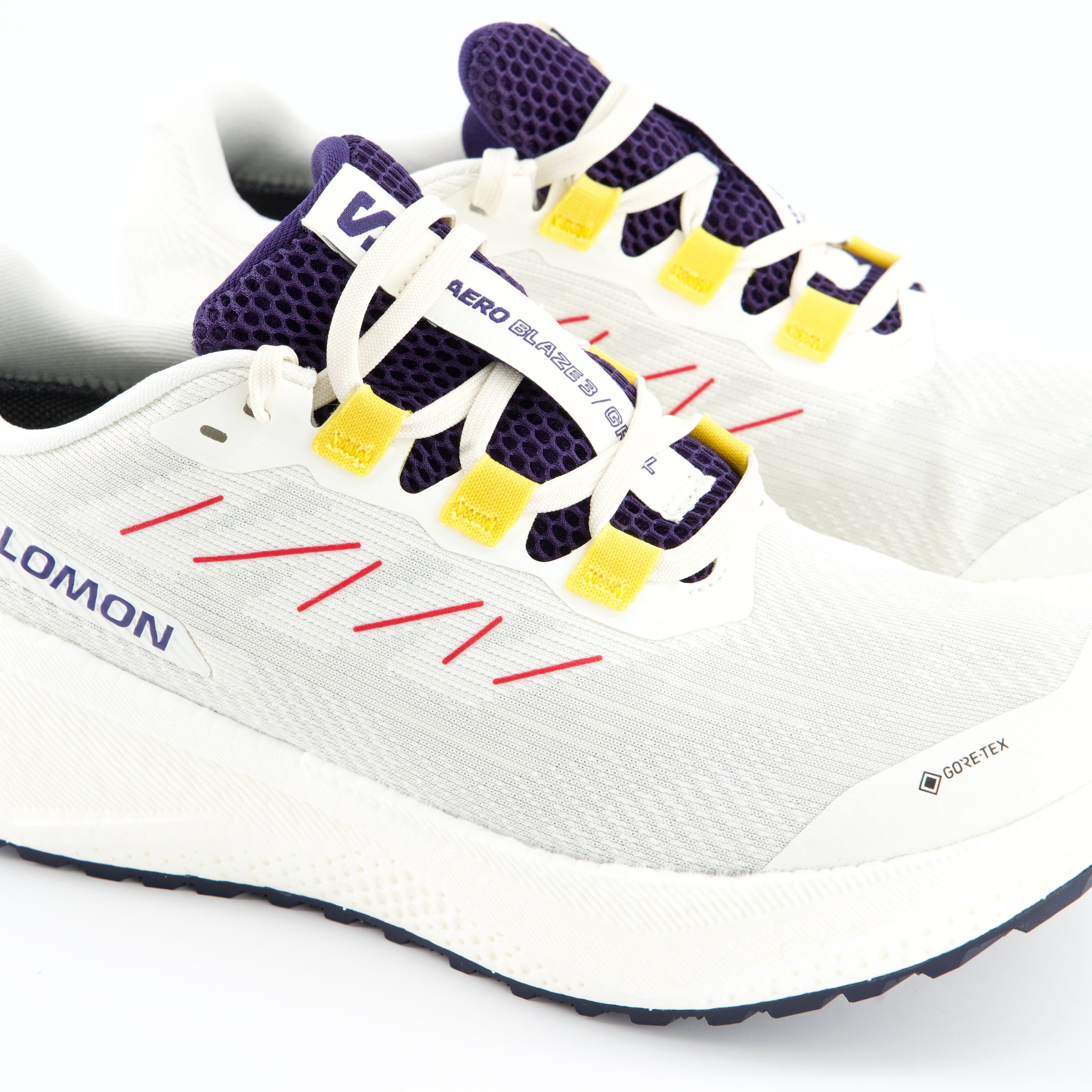 SALOMON Damenschuhe - Laufschuhe Laufschuhe Aero Blaze 3 Grvl GTX
