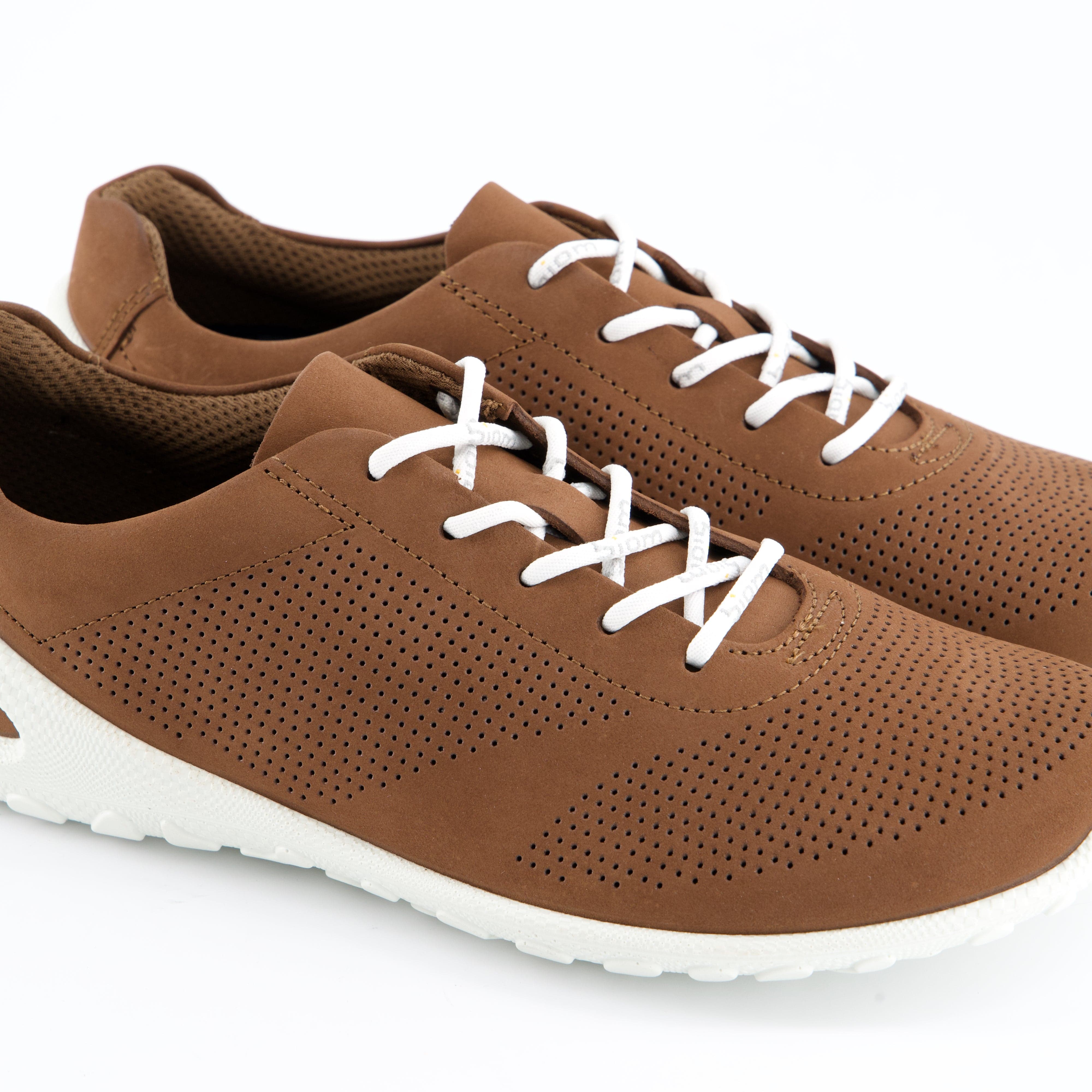 ECCO Herrenschuh - Schnürschuh Schnürschuh ECCO BIOM LITE M