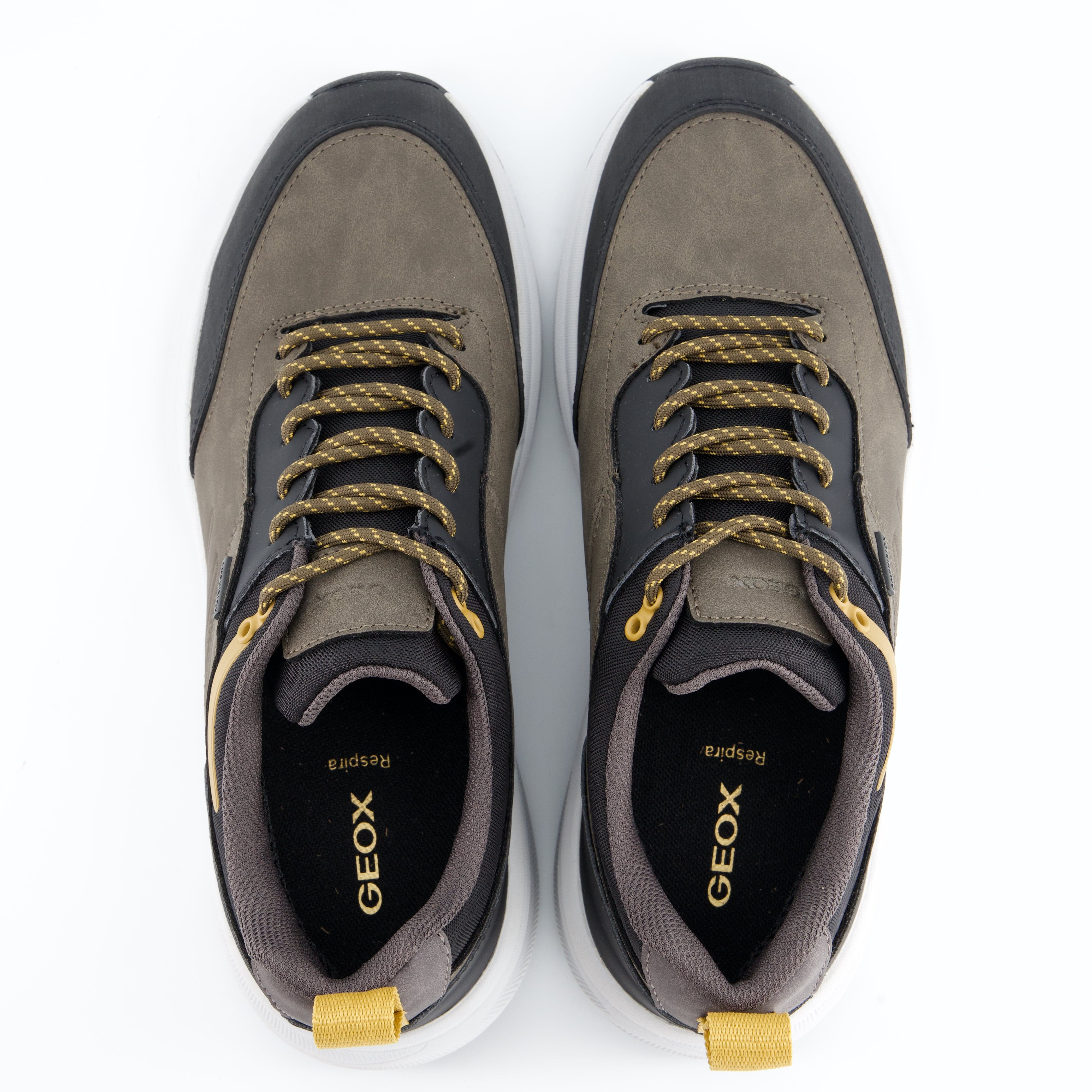 GEOX Herrenschuh - Schnürschuh Schnürschuh Senales ABX