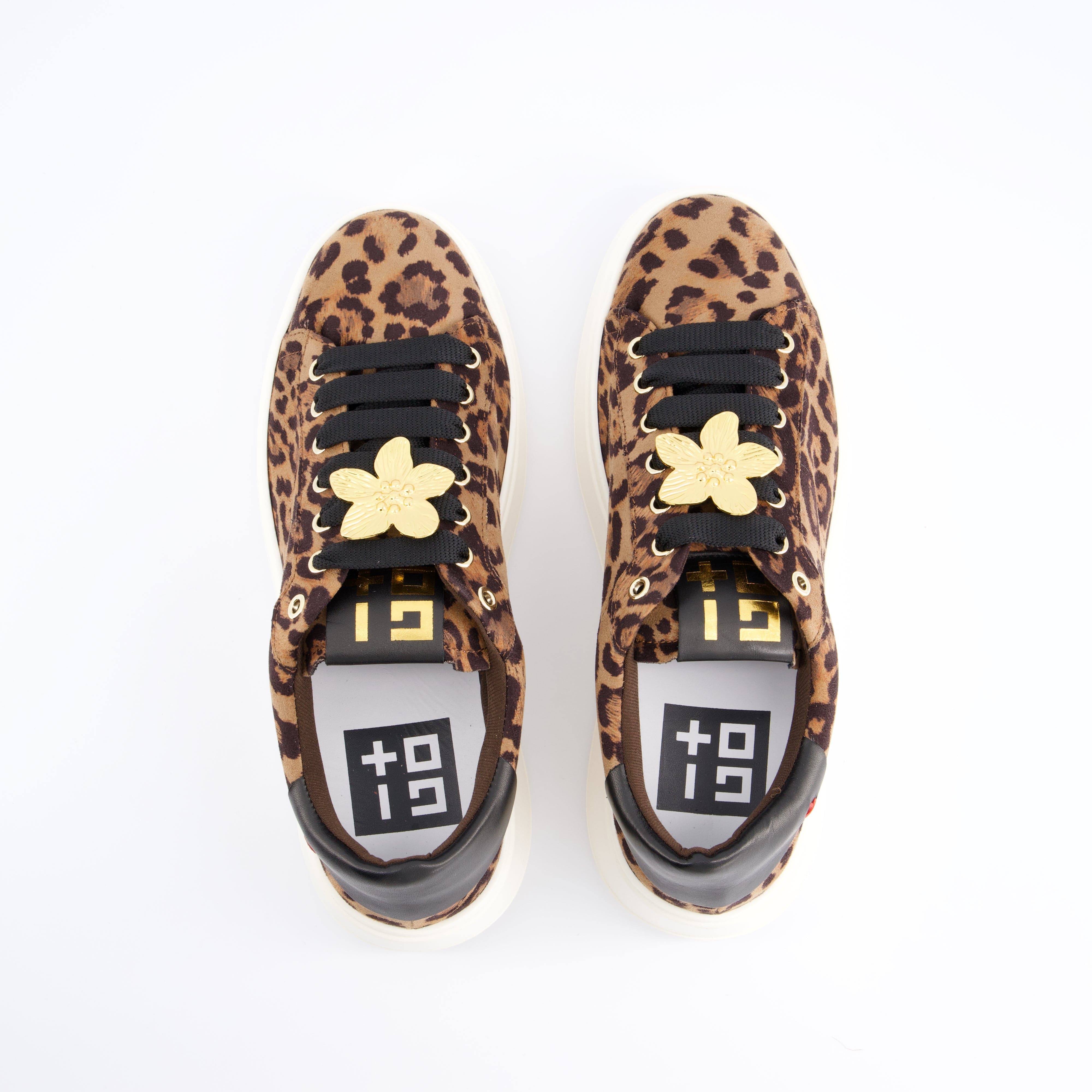 Gio+ Damenschuhe - Schnürschuhe, Schnürschuhe