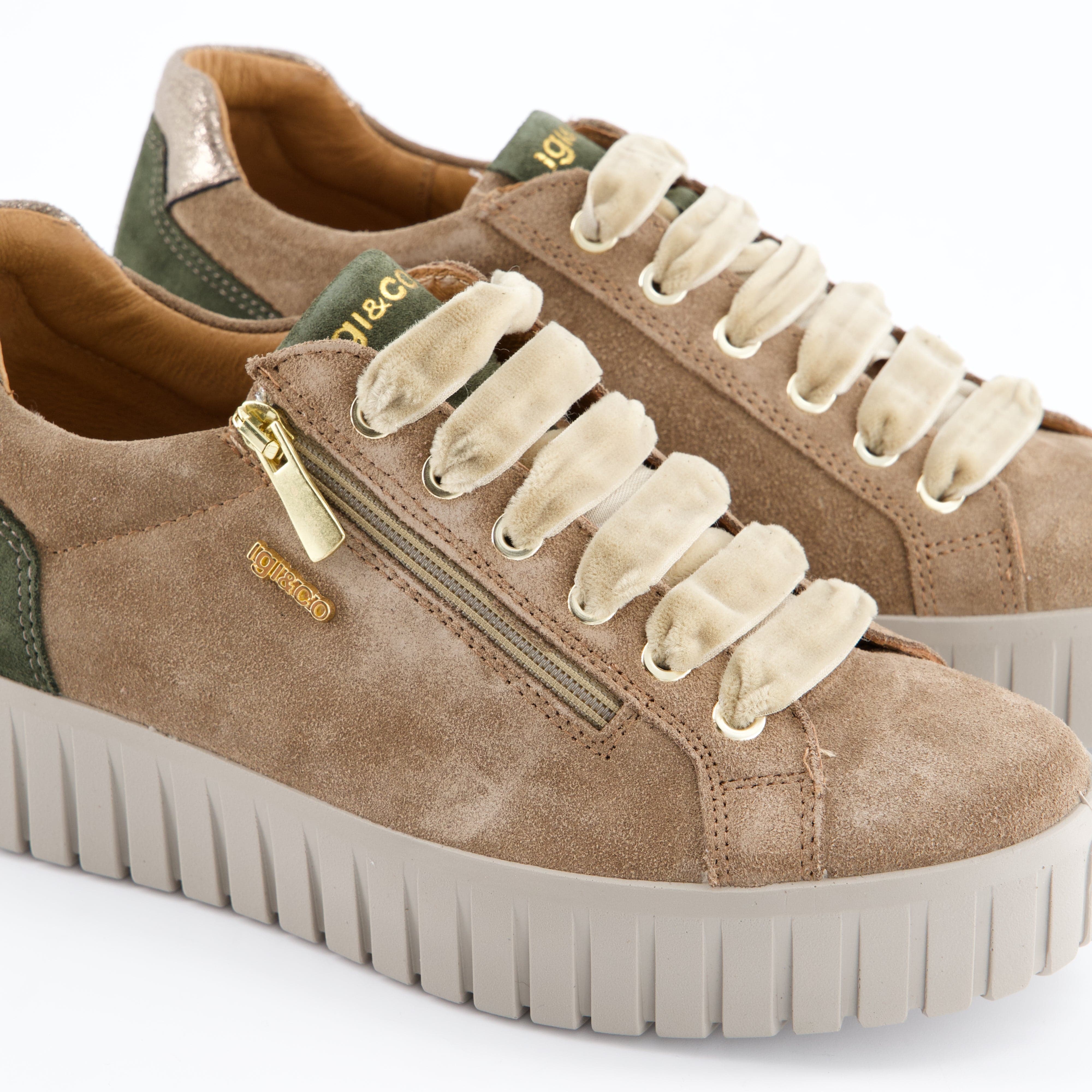 Igi&amp;Co Damenschuhe - Schnürschuhe Schnürschuhe Ares
