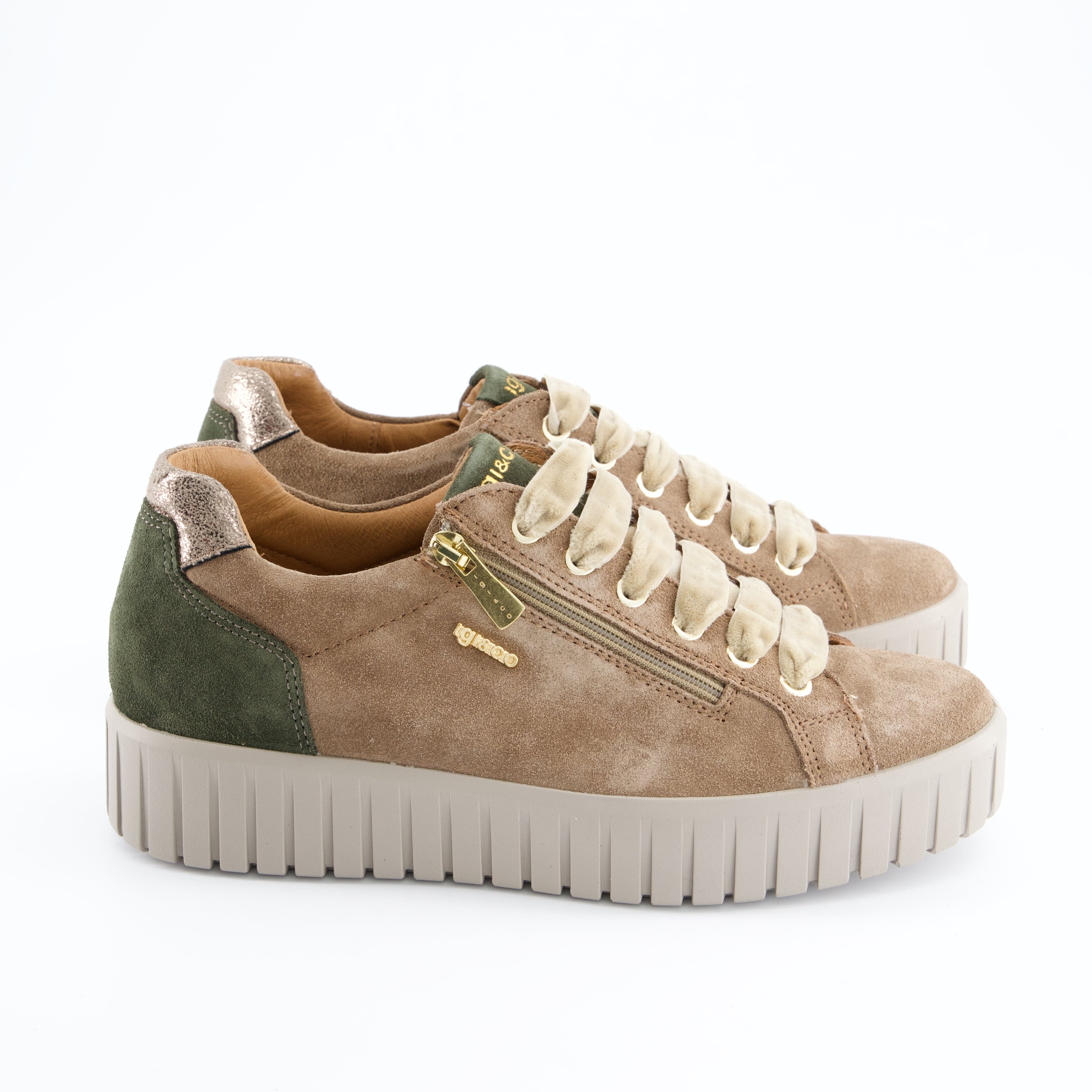 Igi&amp;Co Damenschuhe - Schnürschuhe Schnürschuhe Ares