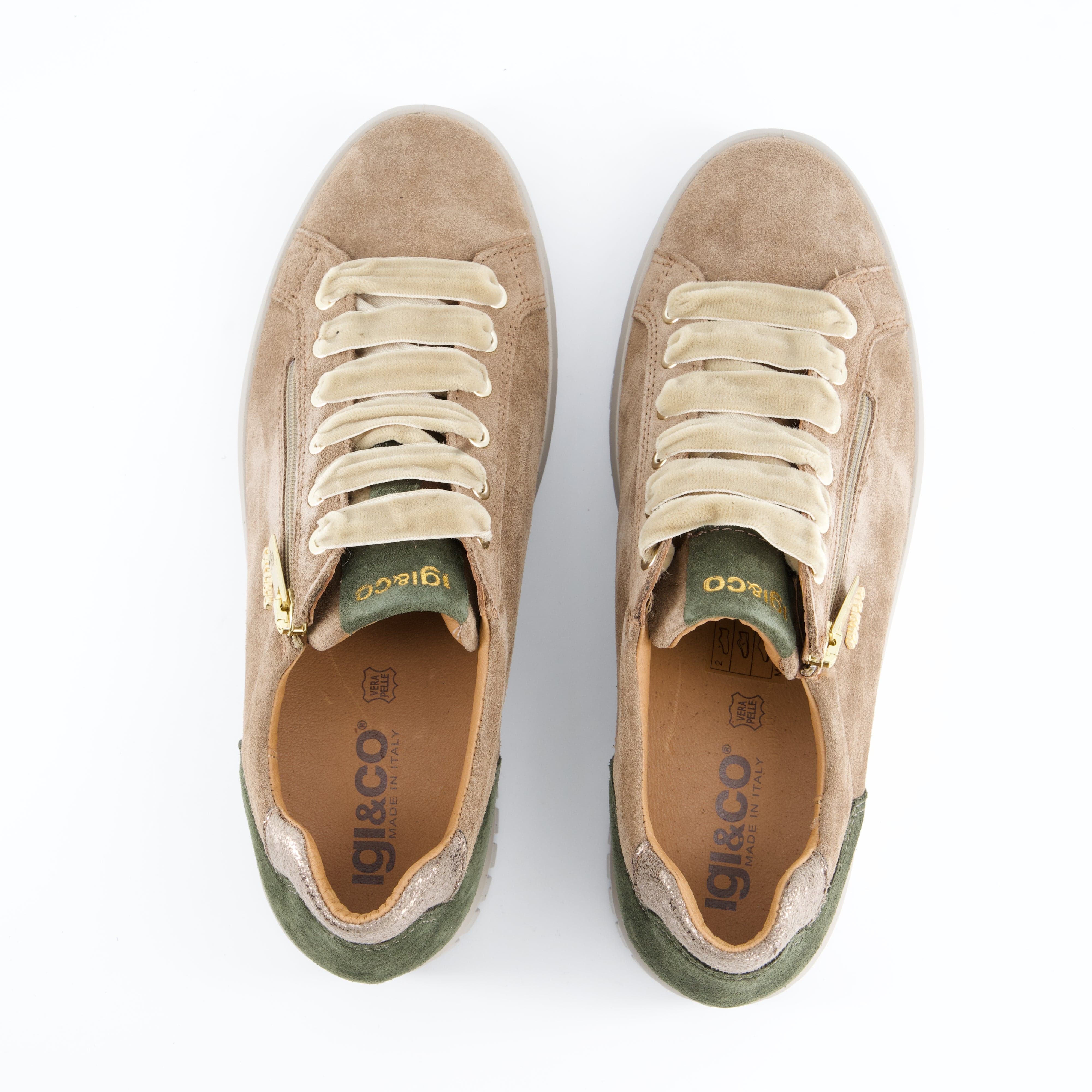 Igi&amp;Co Damenschuhe - Schnürschuhe Schnürschuhe Ares