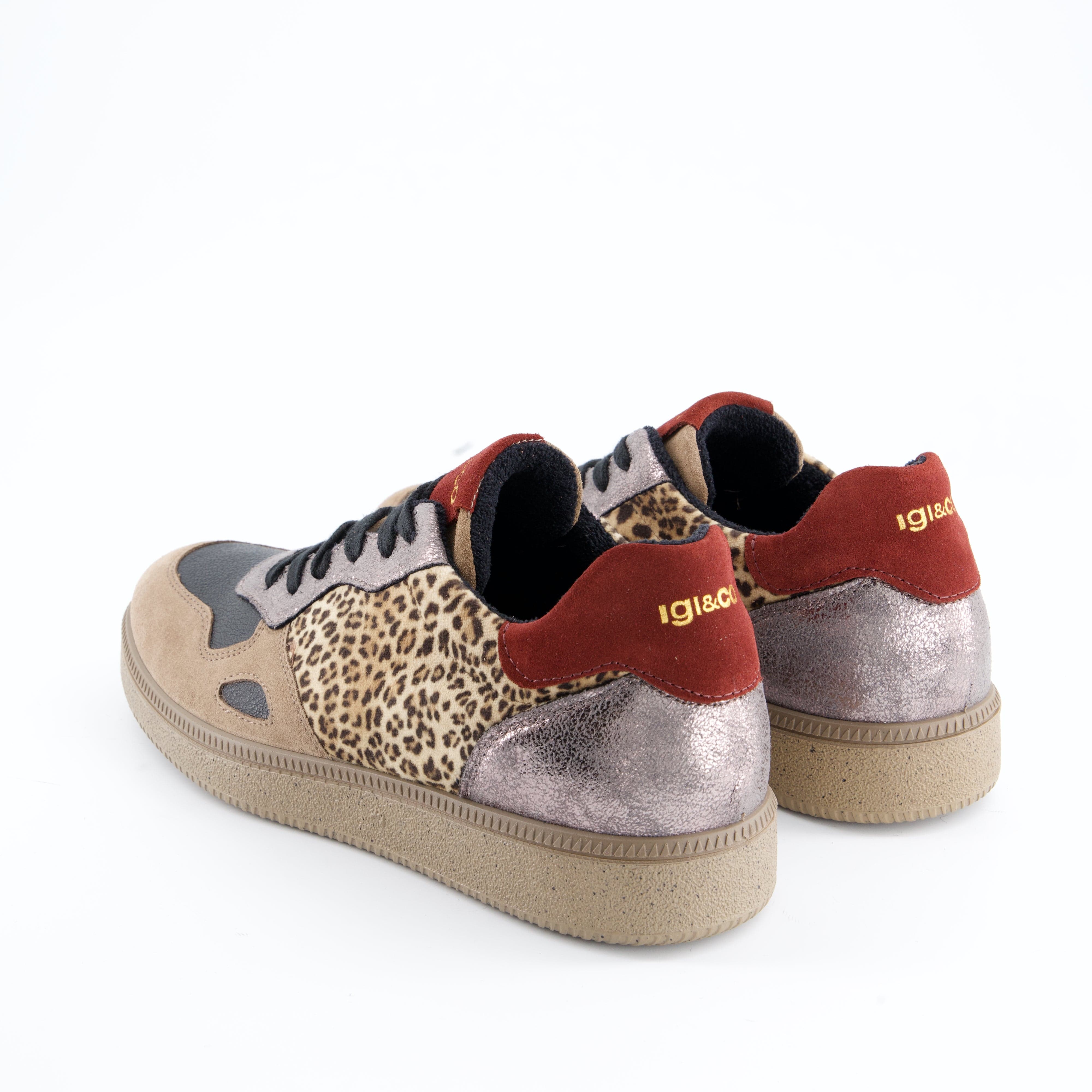 Igi&amp;Co Damenschuhe - Schnürschuhe Schnürschuhe Atala