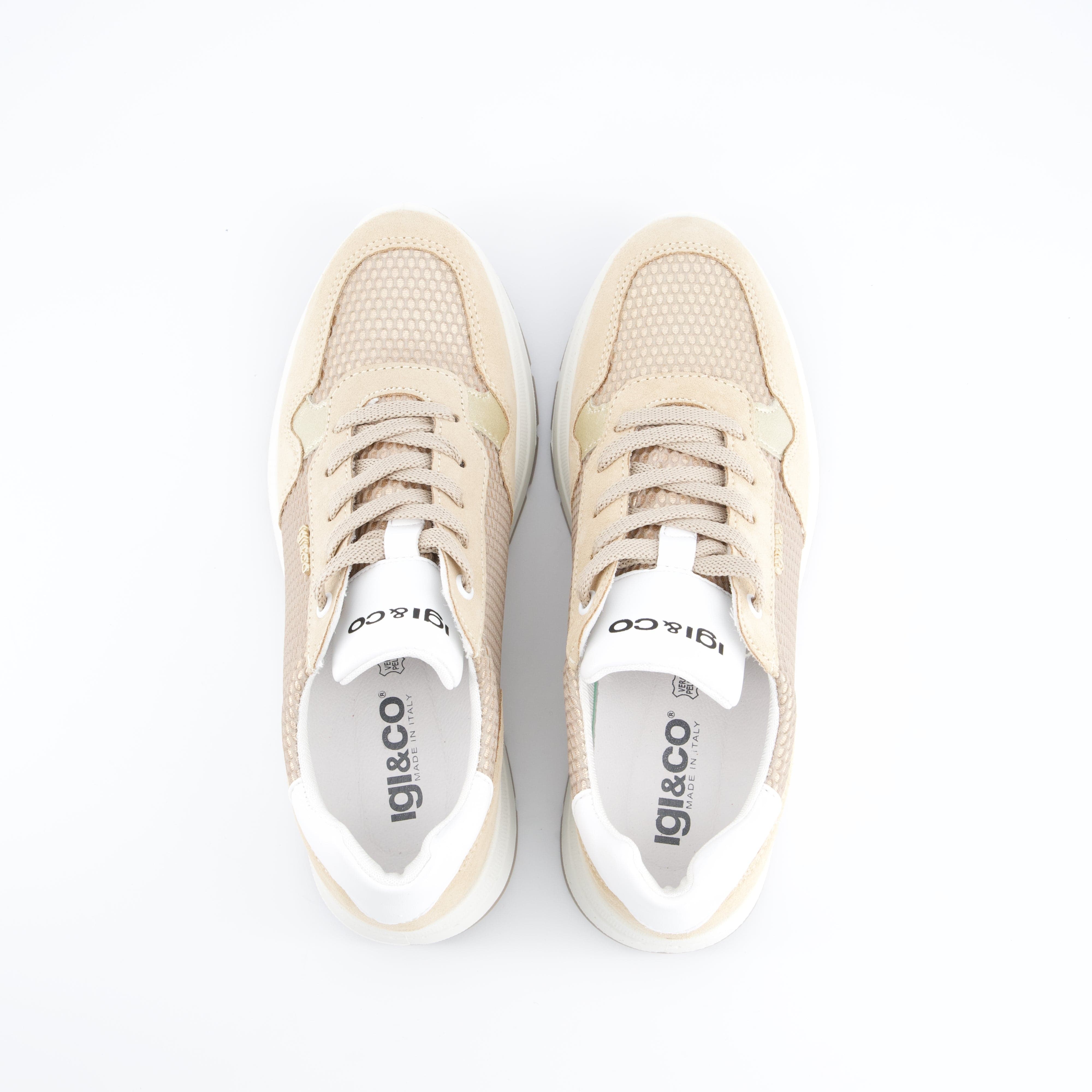 Igi+Co Damenschuhe - Schnürschuhe, Schnürschuhe