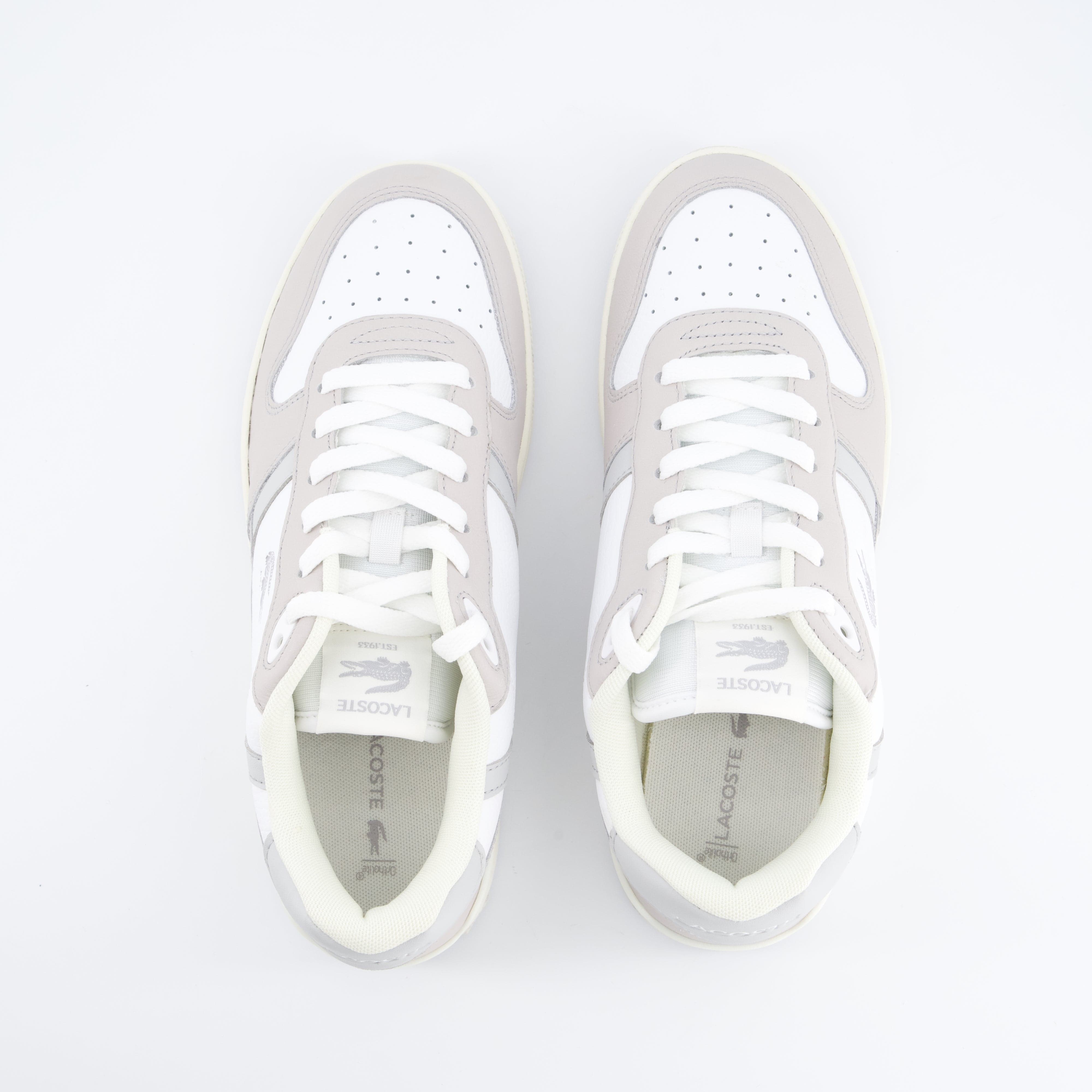 LACOSTE Herrenschuh - Sneaker Sneaker T-Clip