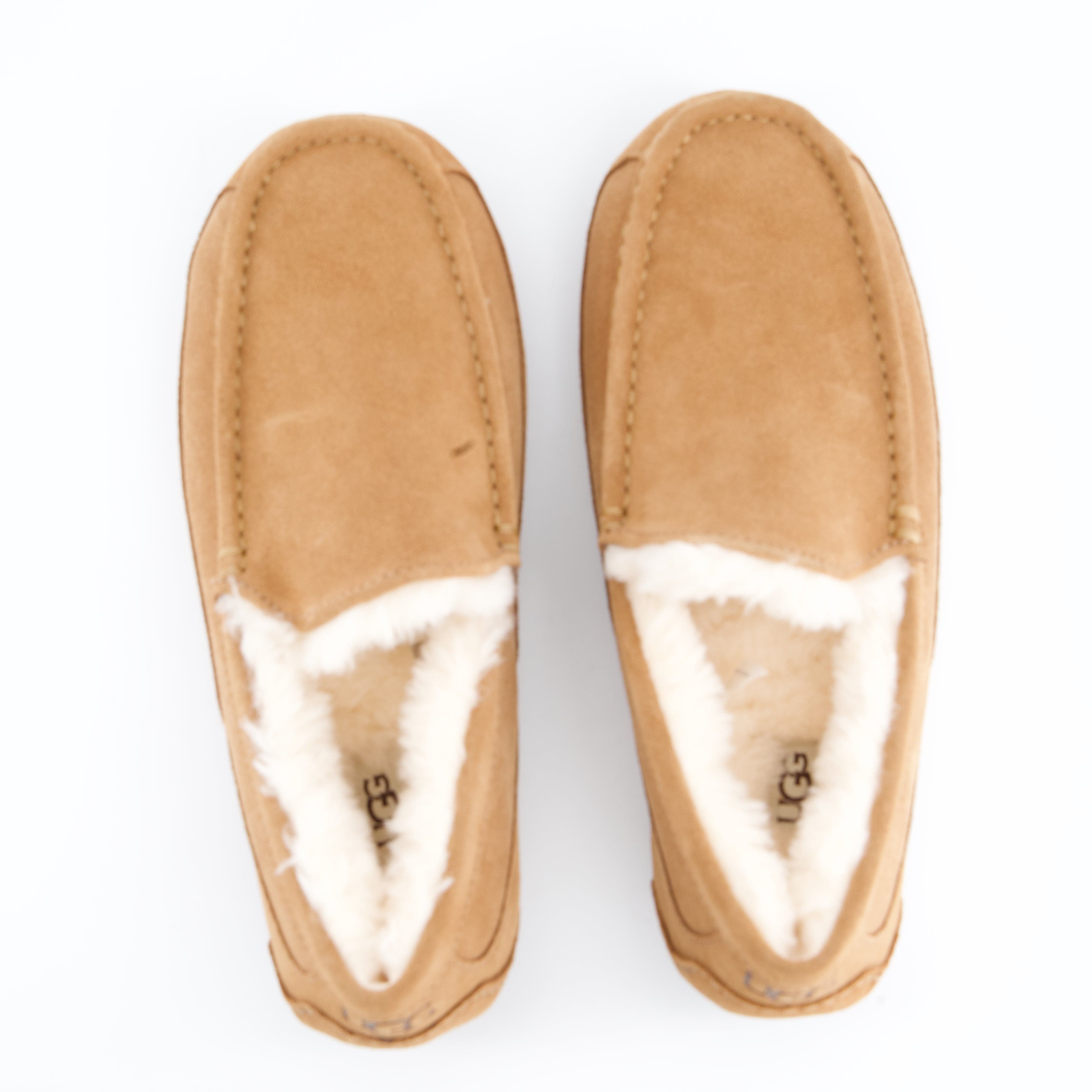 UGG Herrenschuh - Hausschuh Hausschuh Ascot
