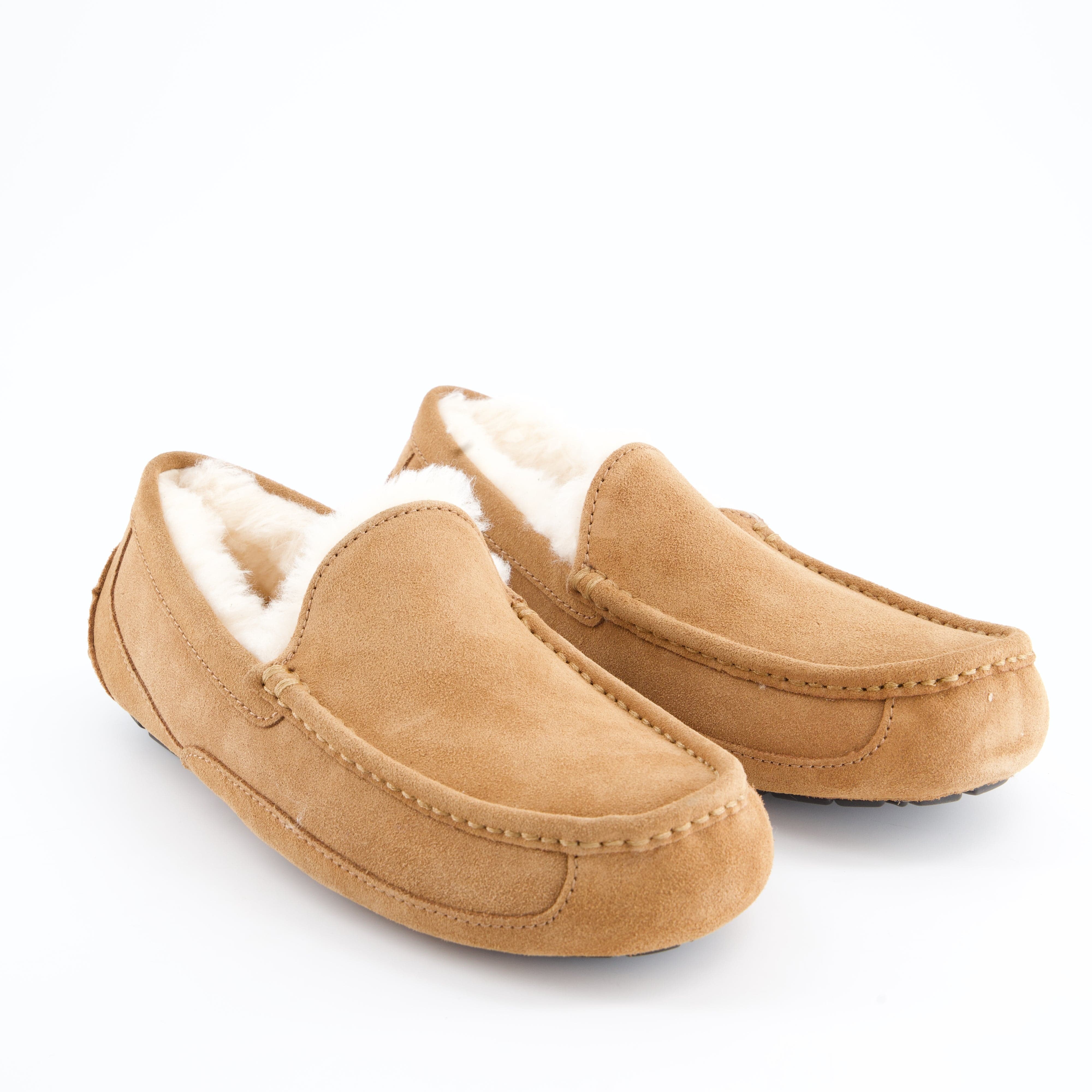 UGG Herrenschuh - Hausschuh Hausschuh Ascot