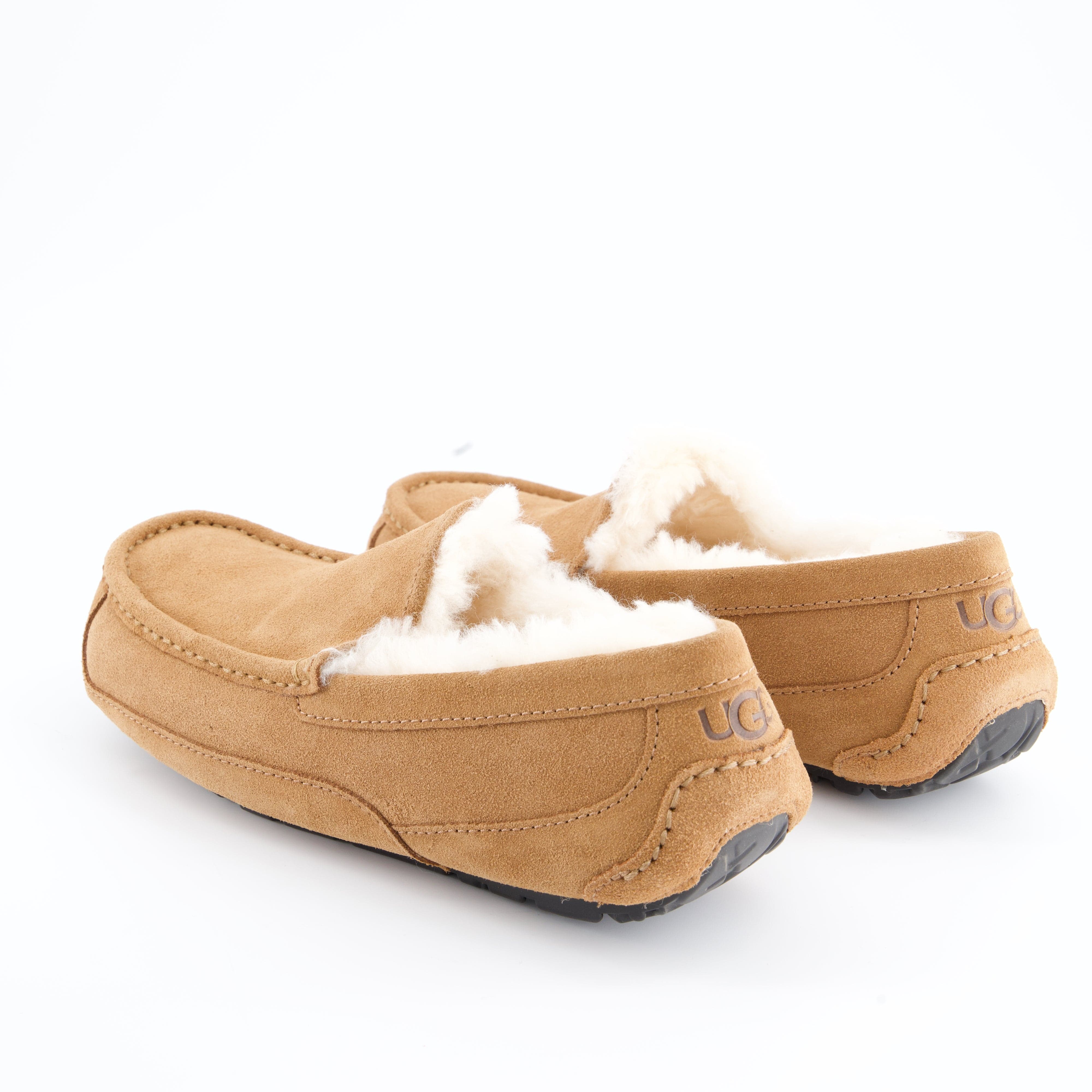 UGG Herrenschuh - Hausschuh Hausschuh Ascot