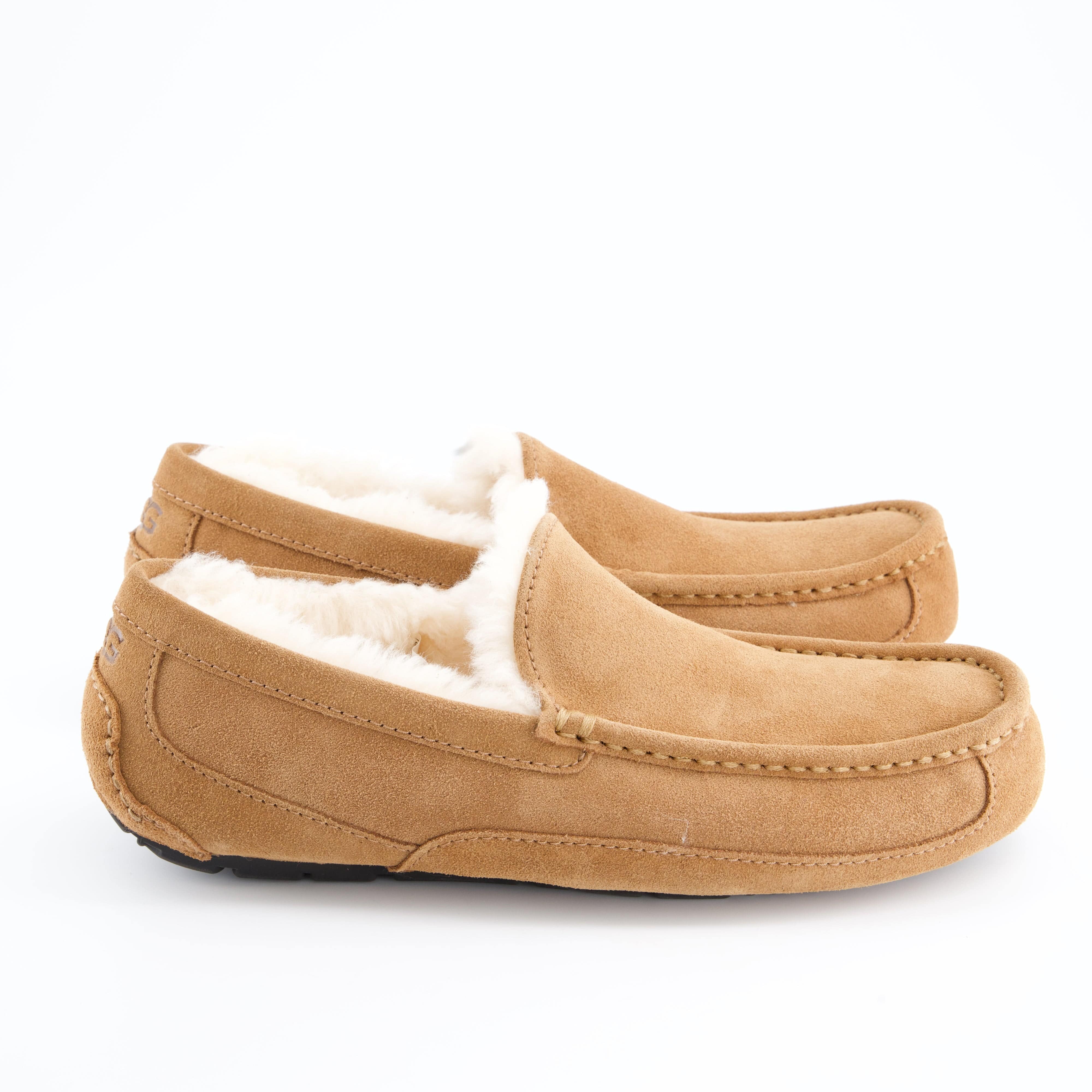 UGG Herrenschuh - Hausschuh Hausschuh Ascot