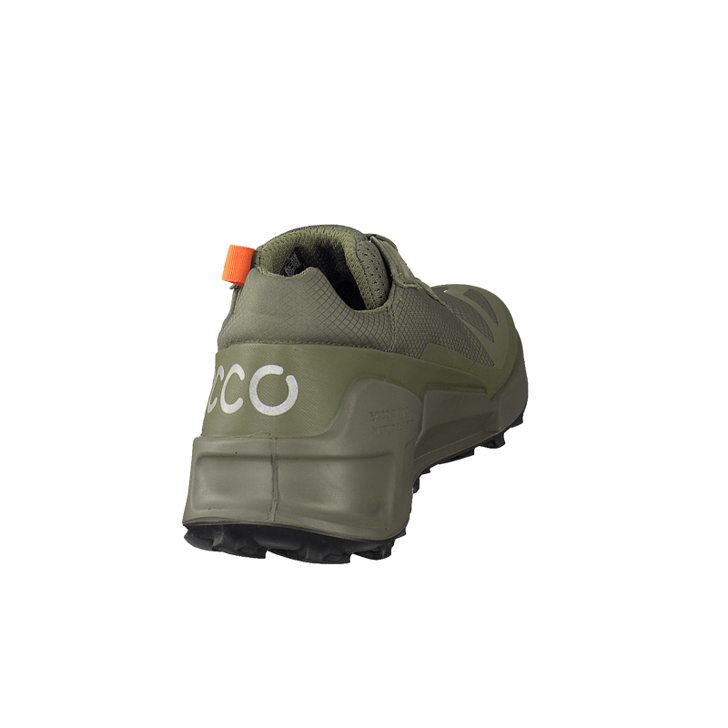 ECCO Herrenschuh - Sneaker, Sneaker BIOM 2.1 X CTRY M LOW GTX