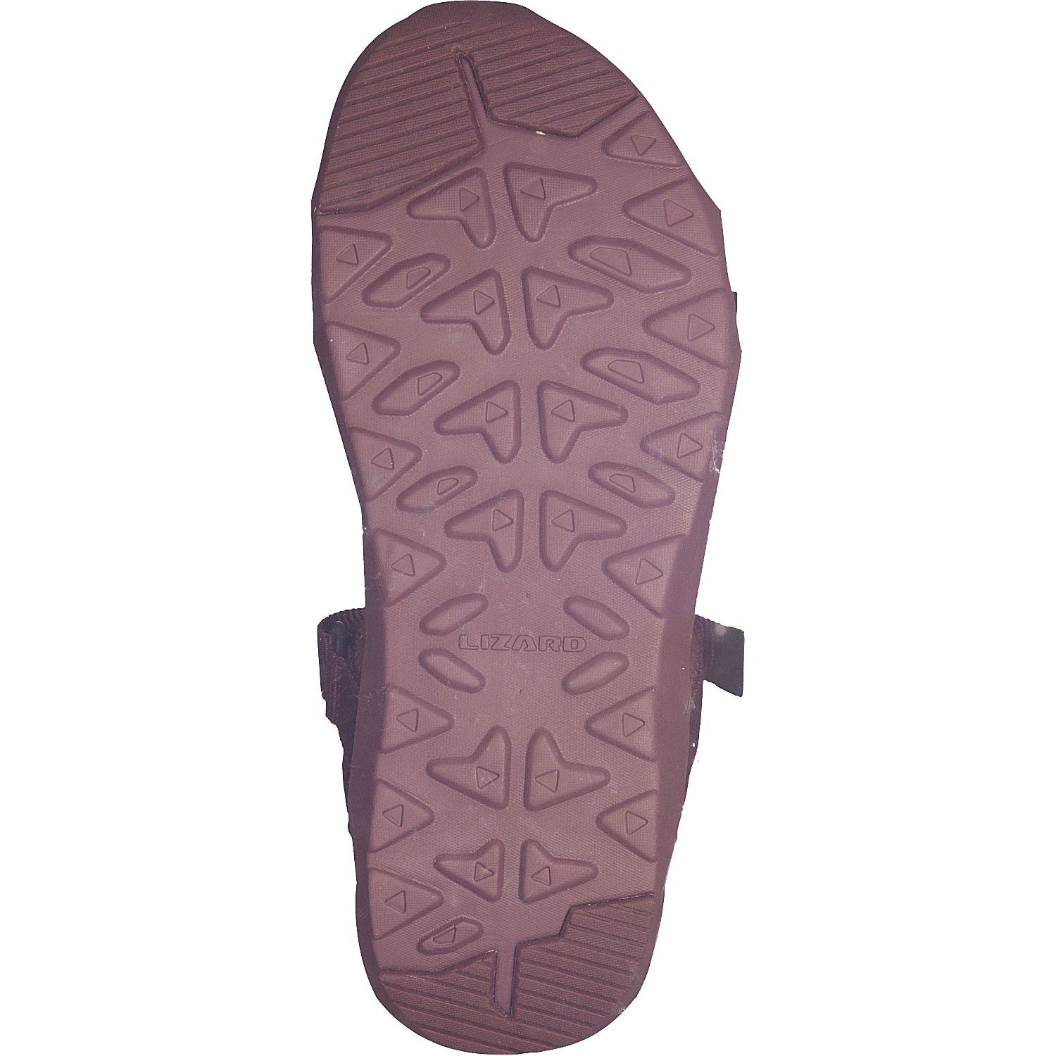 Lizard Damenschuhe - Sandalen, Sandalen Trek Sandal